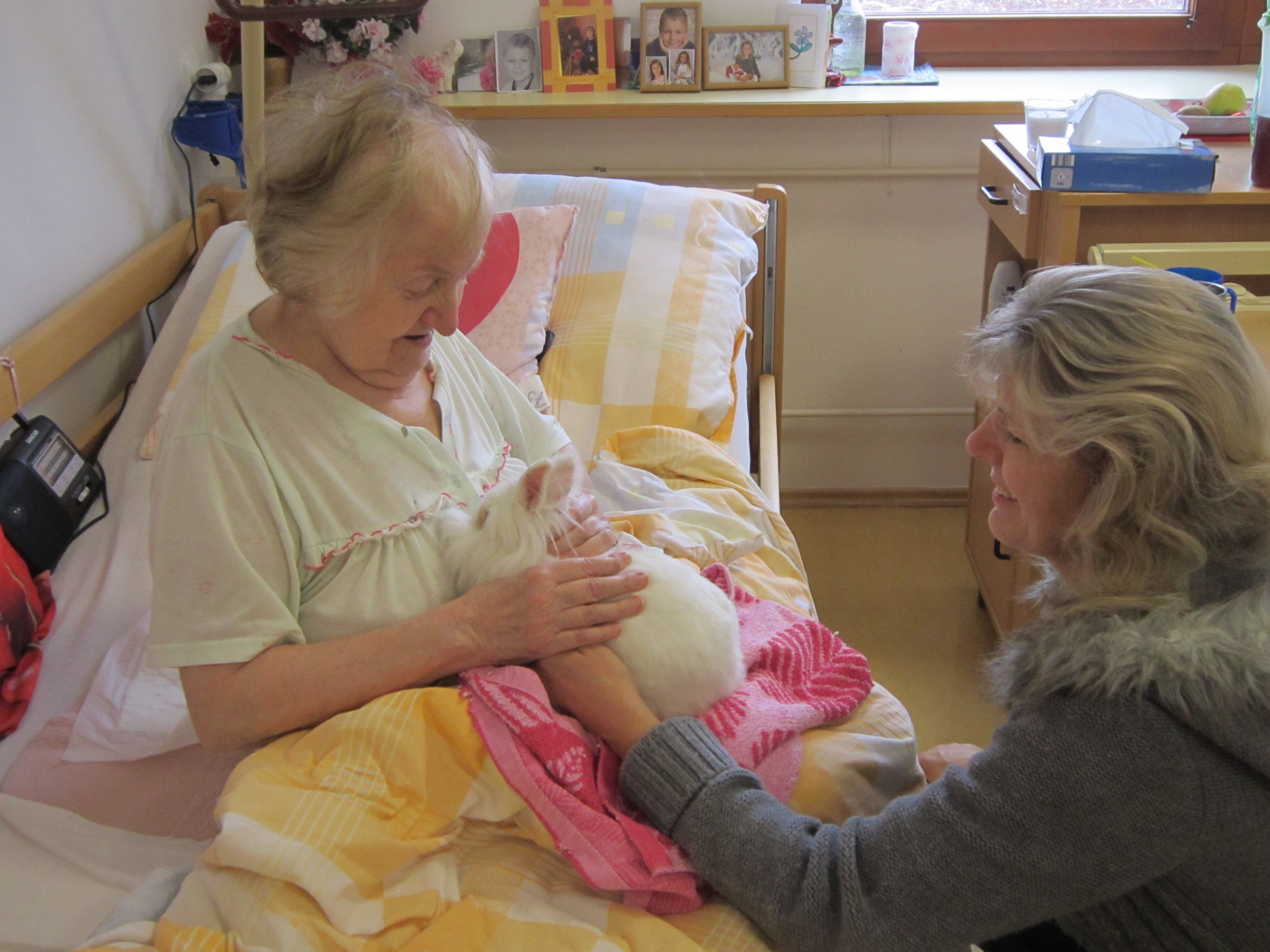 na-pokoji---20.-3.-2016