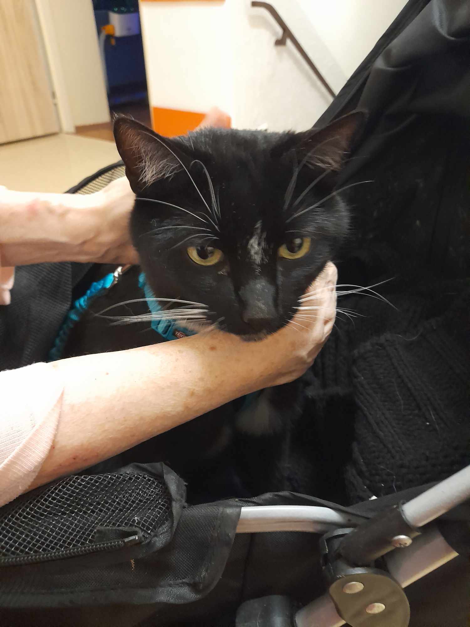 465277435_449752924624671_2905947921550176087_n