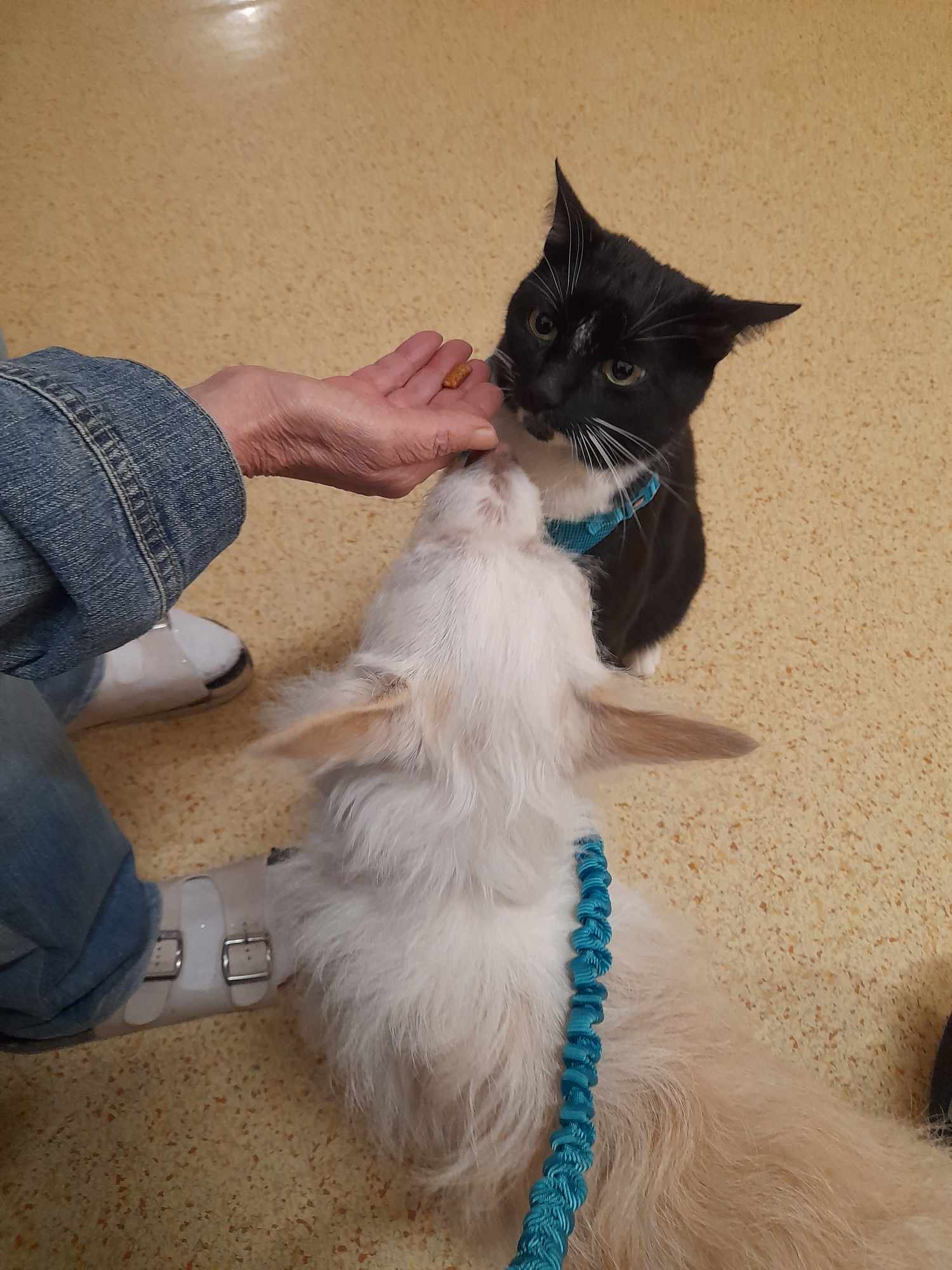 465762502_1111796263668820_7797993344423996755_n