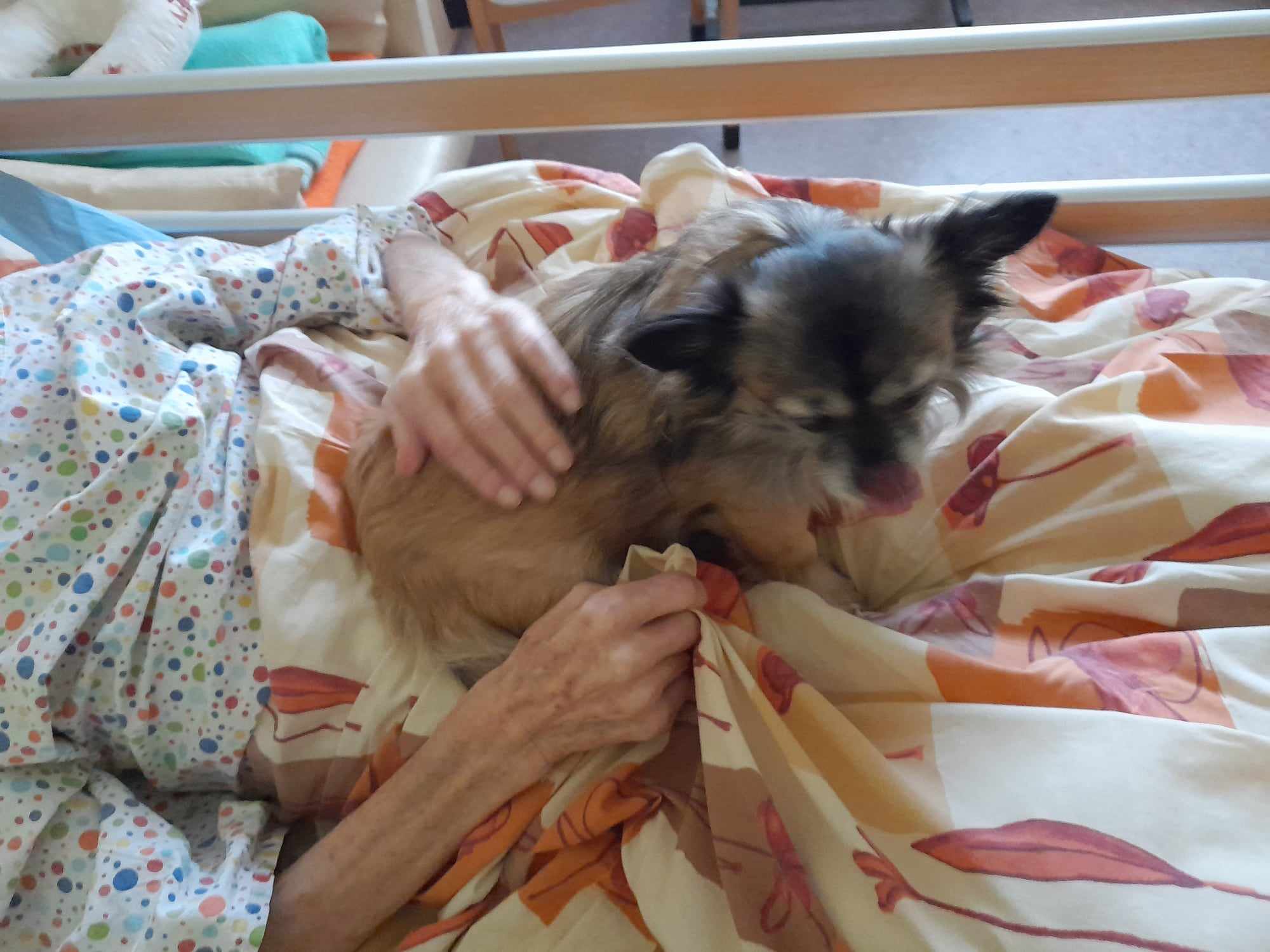 466035252_501836682877610_7962252661096020875_n