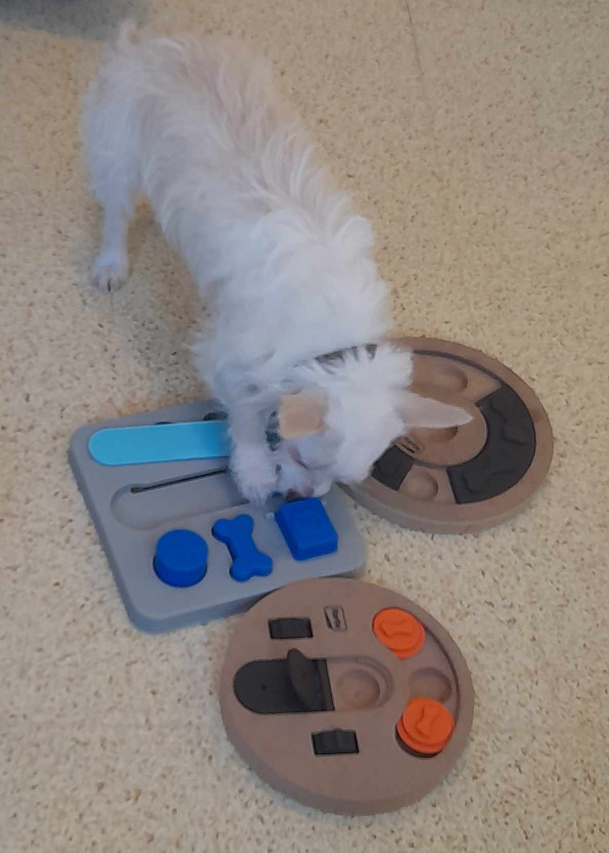 494815666_4212414998992144_4524452279279528528_n