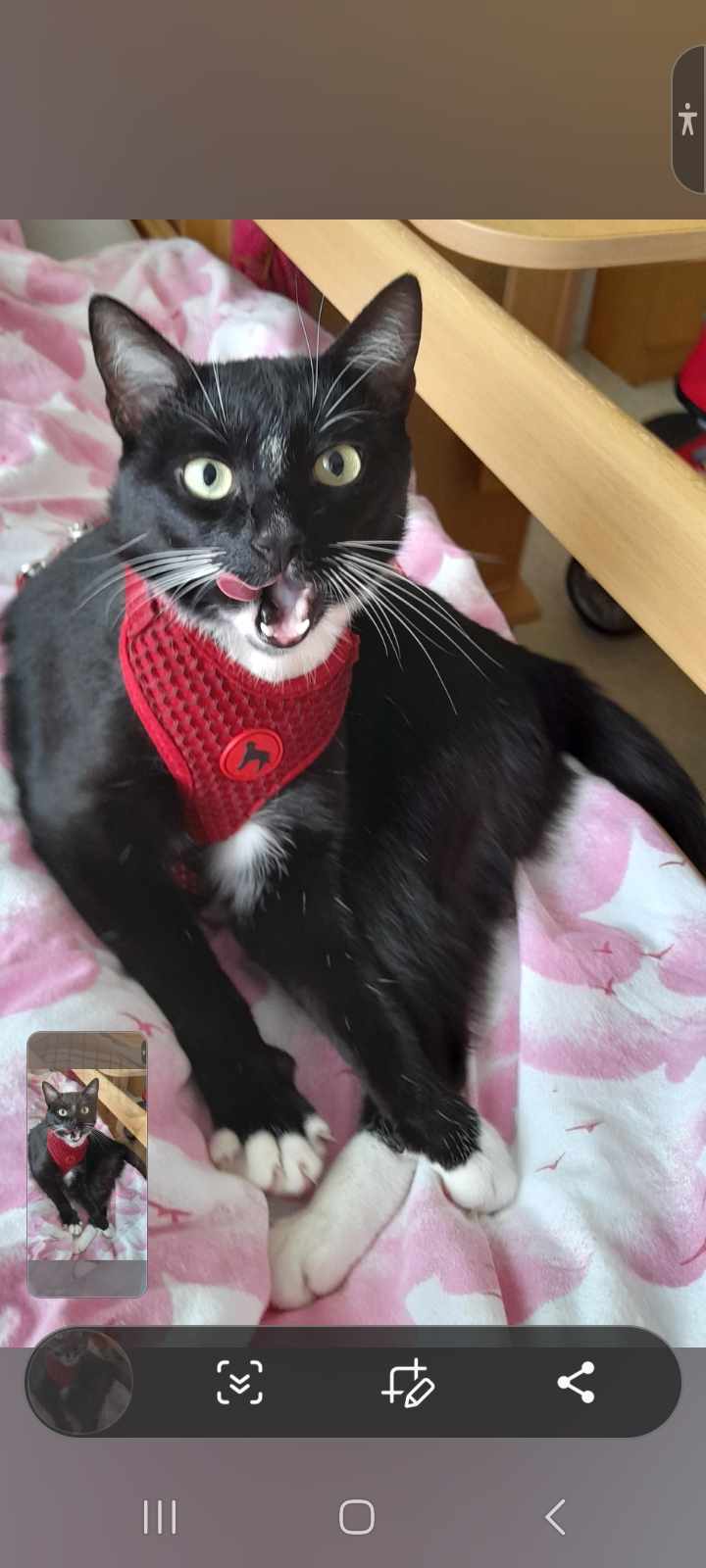 494816161_1064939988828973_6775398577127634746_n