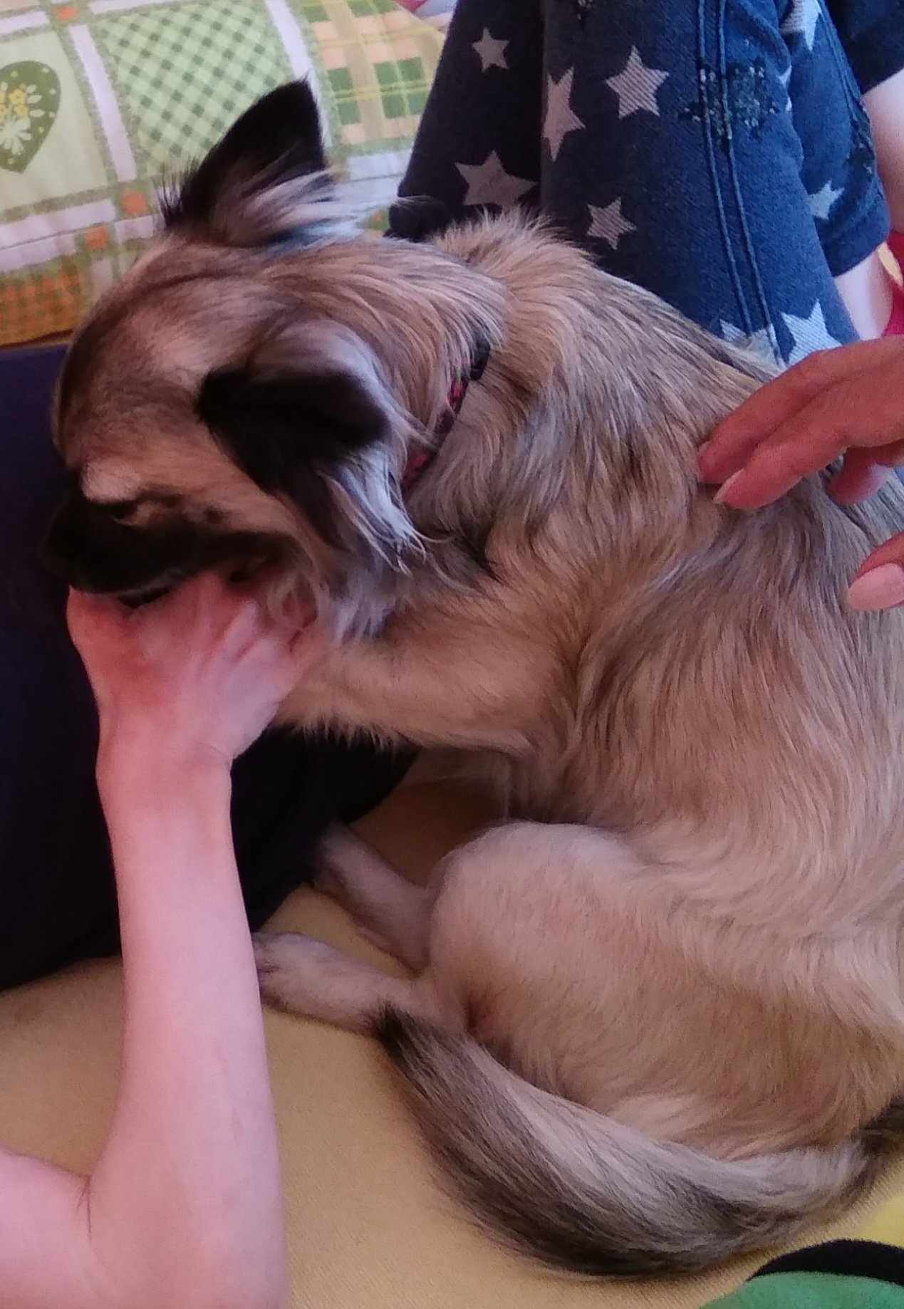 494817260_1236556921513576_3628170921841313585_n