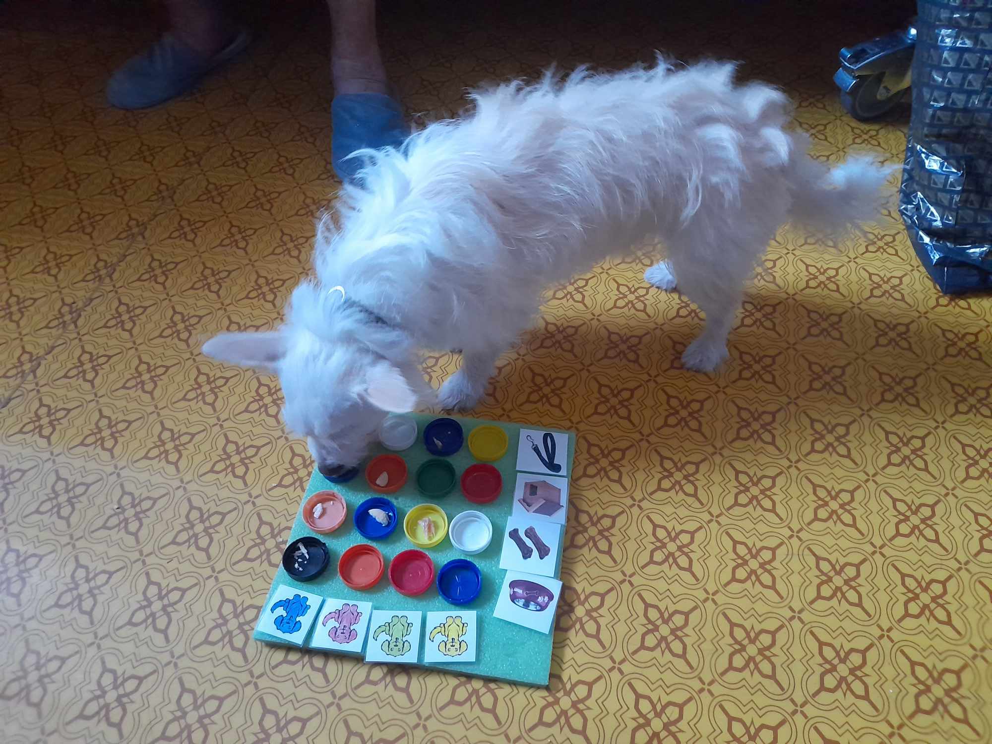 494817372_4086285861653027_1908462283592076240_n