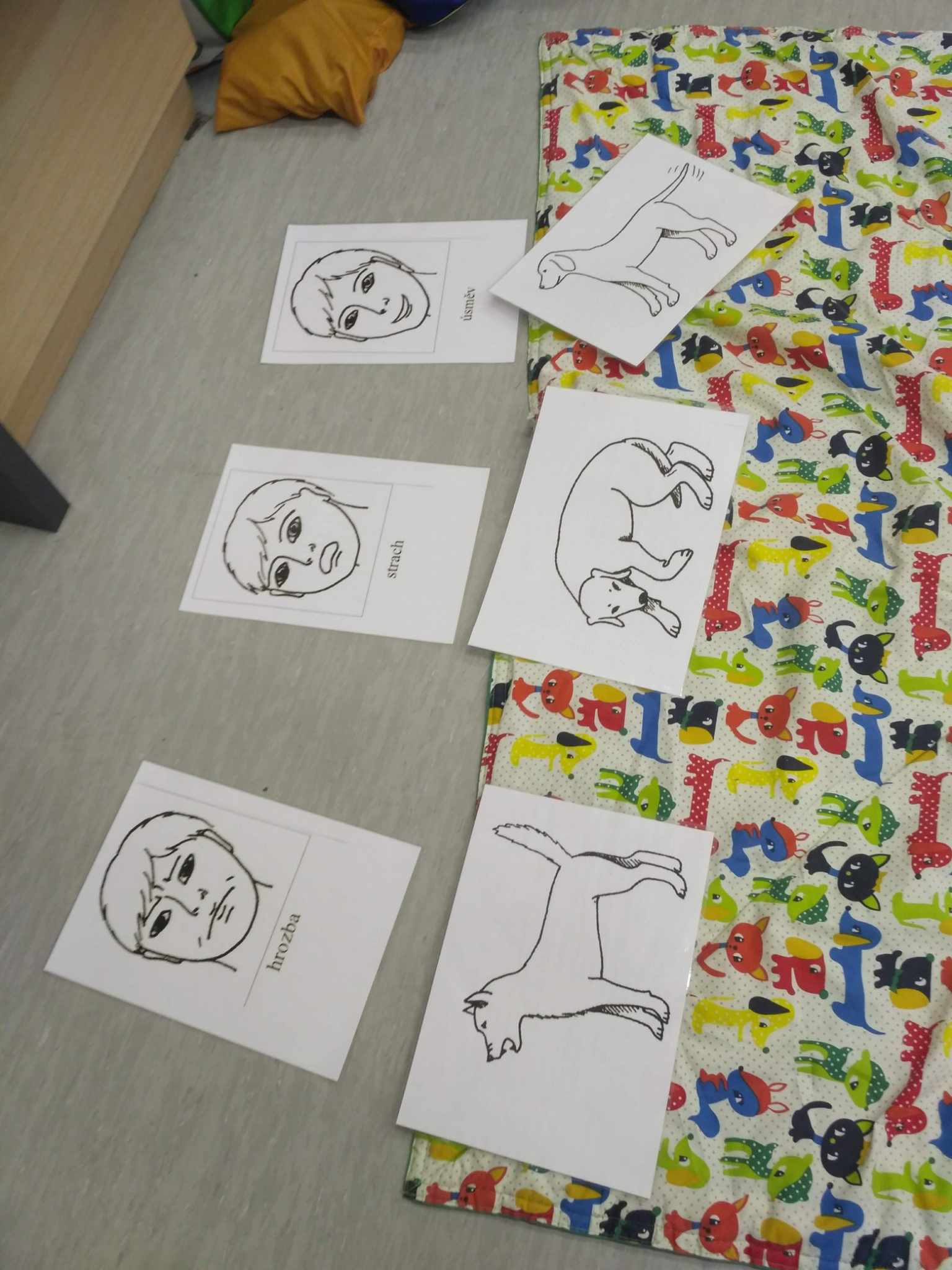 494820778_1406321193606856_102609668778577270_n